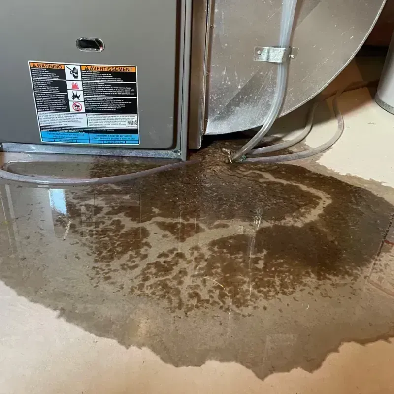 Appliance Leak Cleanup in Crossville, TN